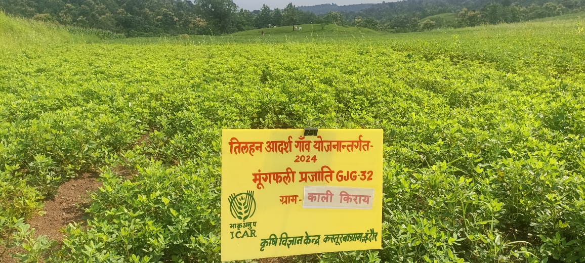 तिलहन आदर्श गाँव